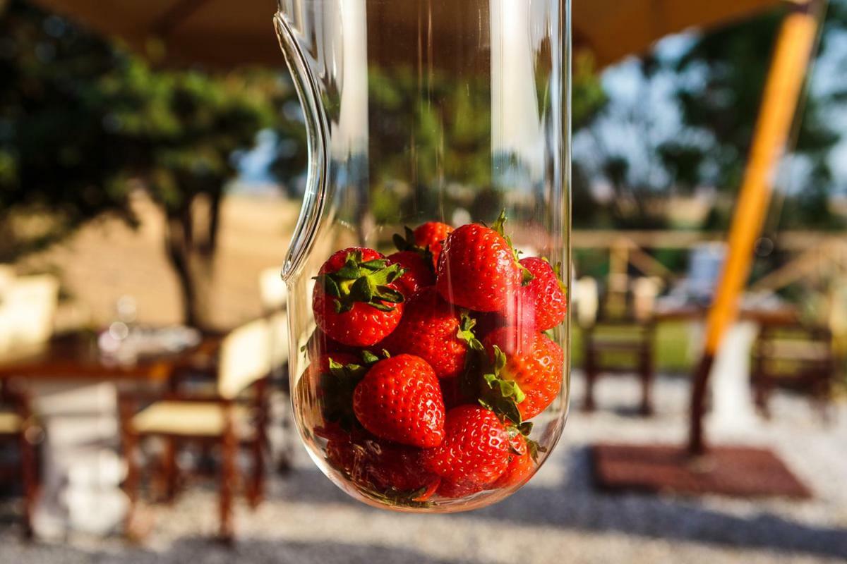 Bed and Breakfast Il Montelletto Santa Luce Esterno foto