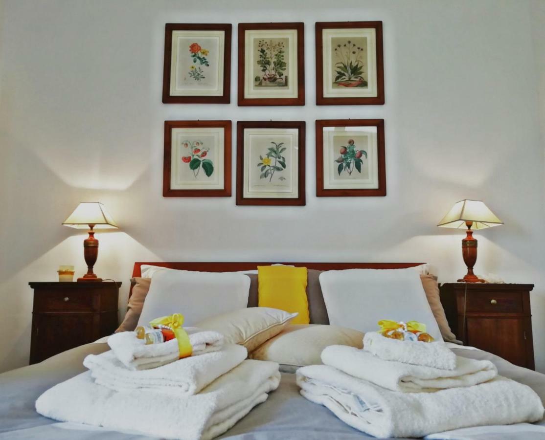 Bed and Breakfast Il Montelletto Santa Luce Esterno foto